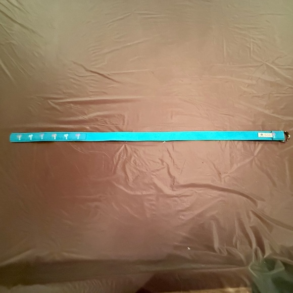 Douglas Paquette Teal neon Palm Tree 1” D Ring Canvas Belt Size Small - Picture 6 of 7